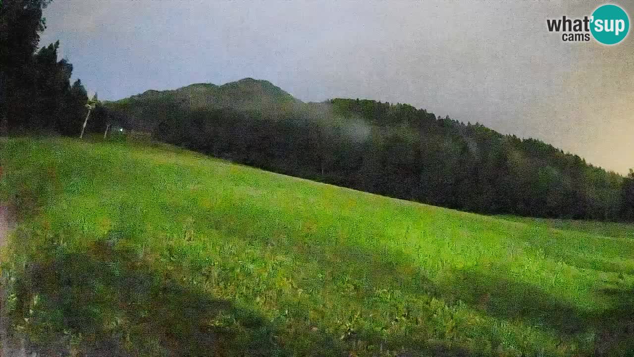 Ski Kranjska Gora | Brsnina
