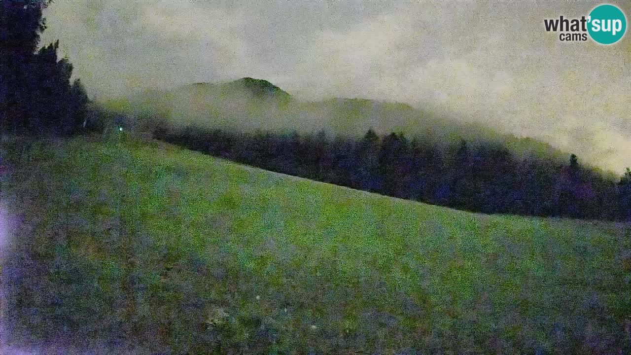 Comprensorio sciistico Kranjska Gora | Brsnina