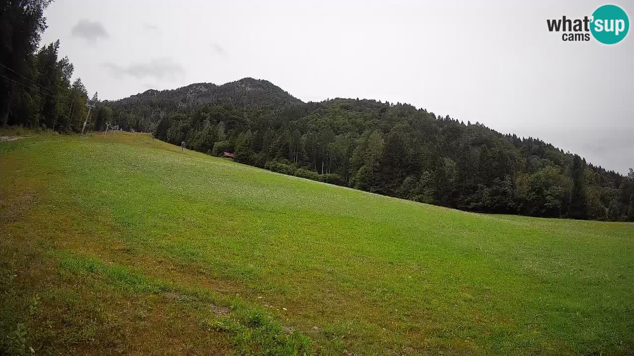 RTC Skigebiet Kranjska Gora | Brsnina