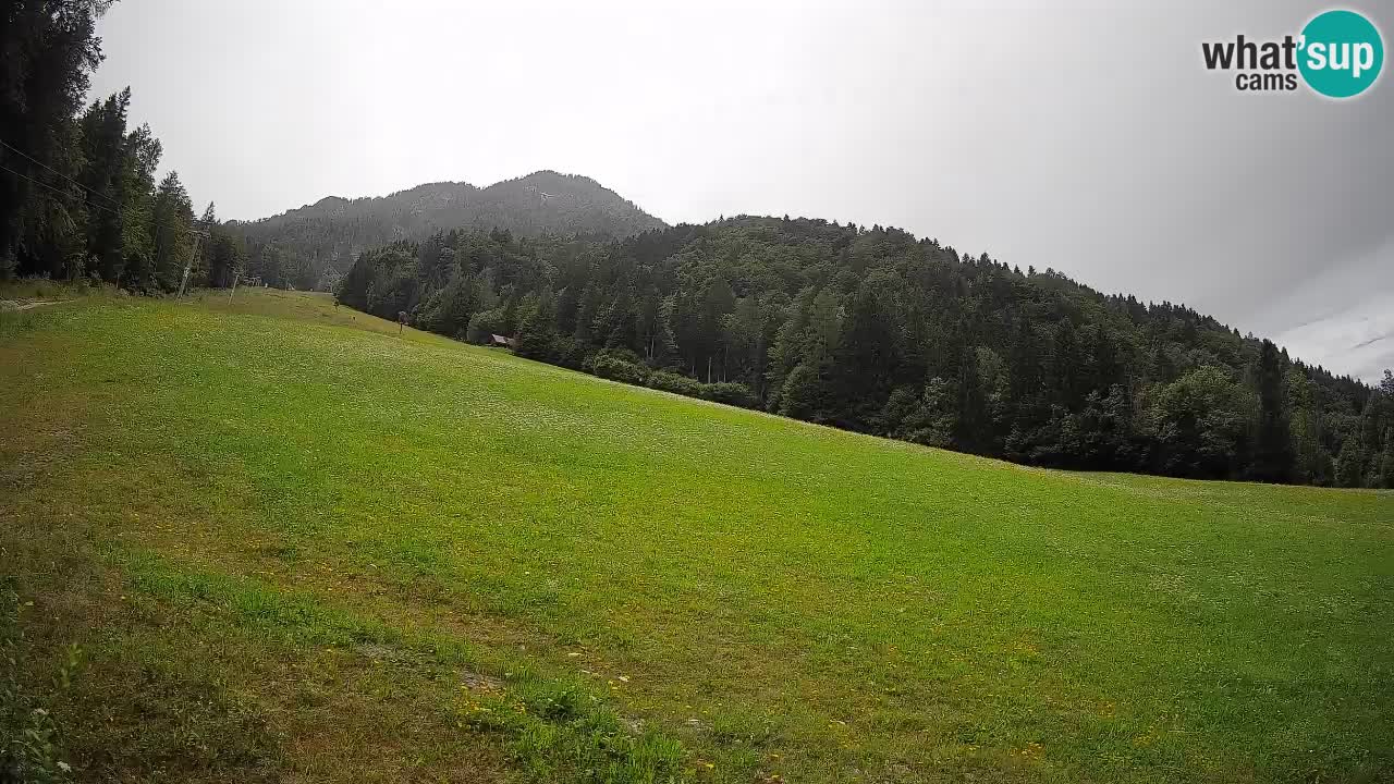 RTC Skigebiet Kranjska Gora | Brsnina