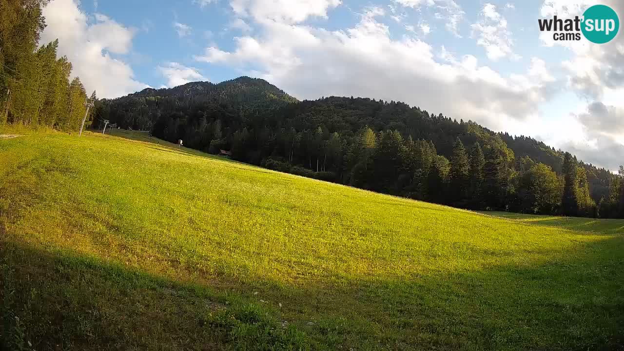 Ski Kranjska Gora | Brsnina