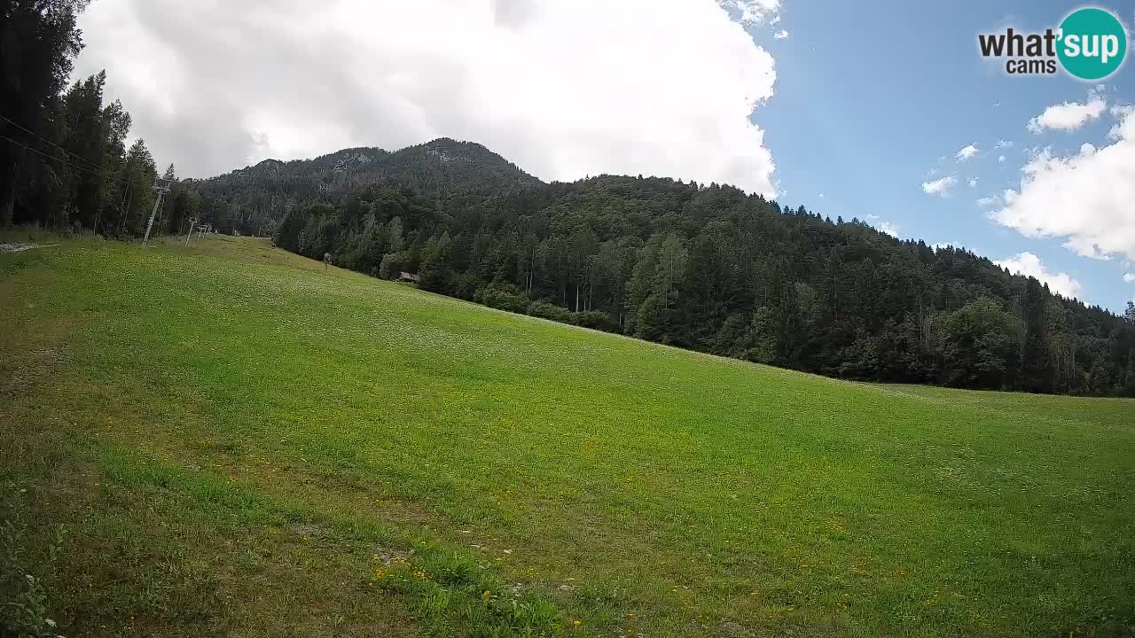 Ski Kranjska Gora | Brsnina