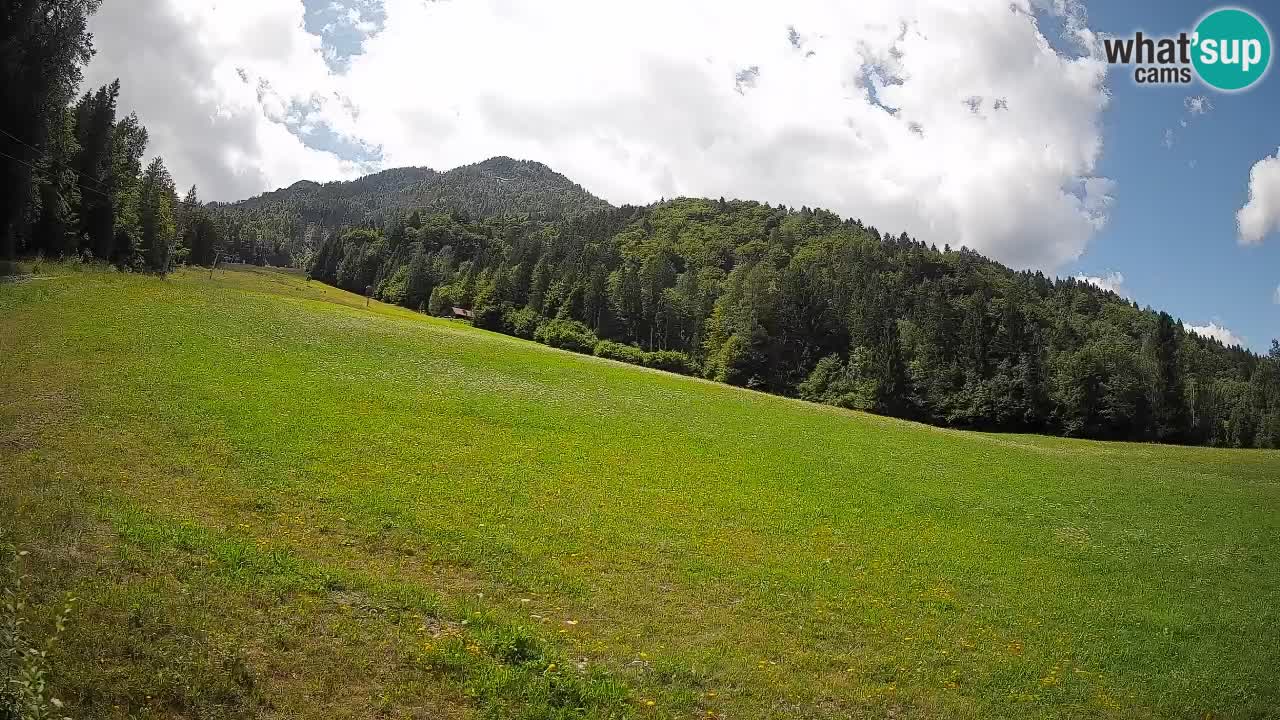 Ski Kranjska Gora | Brsnina
