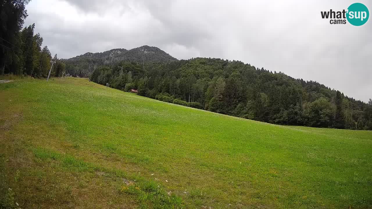 RTC Kranjska Gora | Brsnina