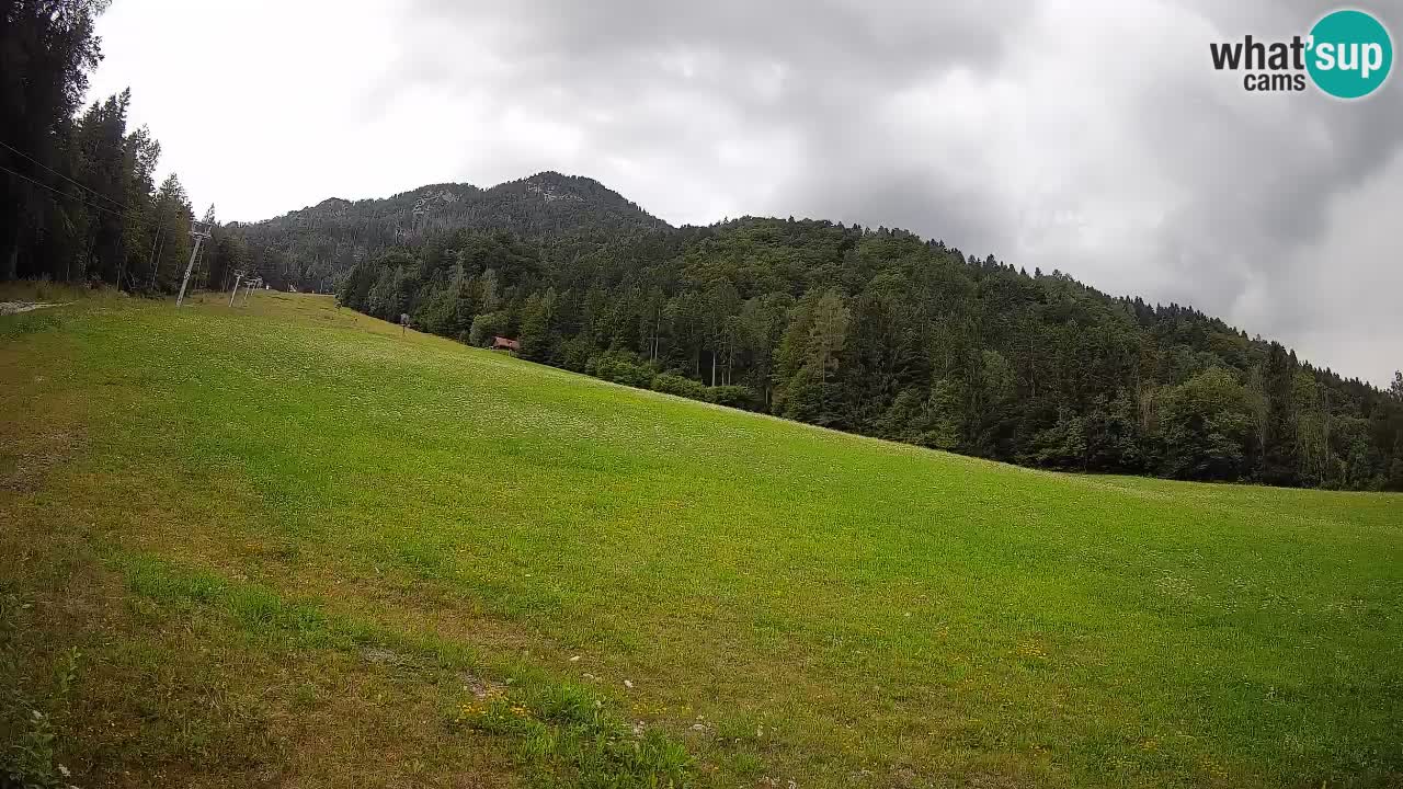 Ski Kranjska Gora | Brsnina