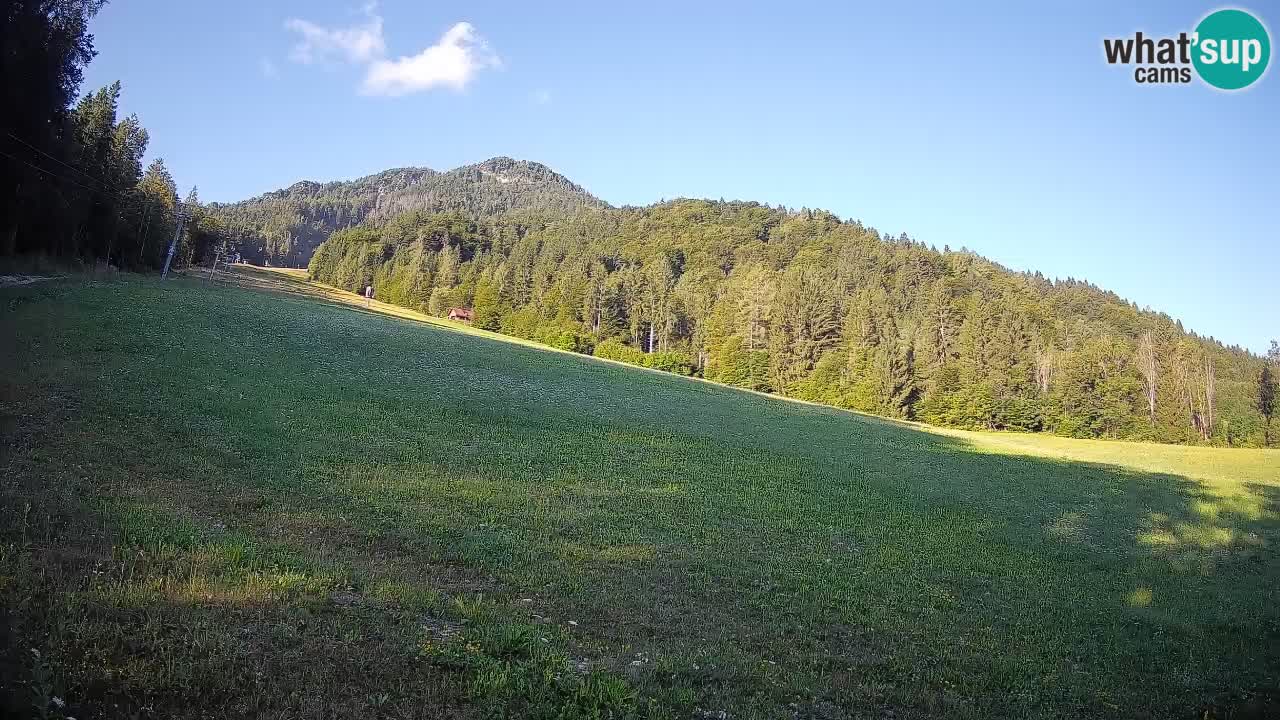 Comprensorio sciistico Kranjska Gora | Brsnina