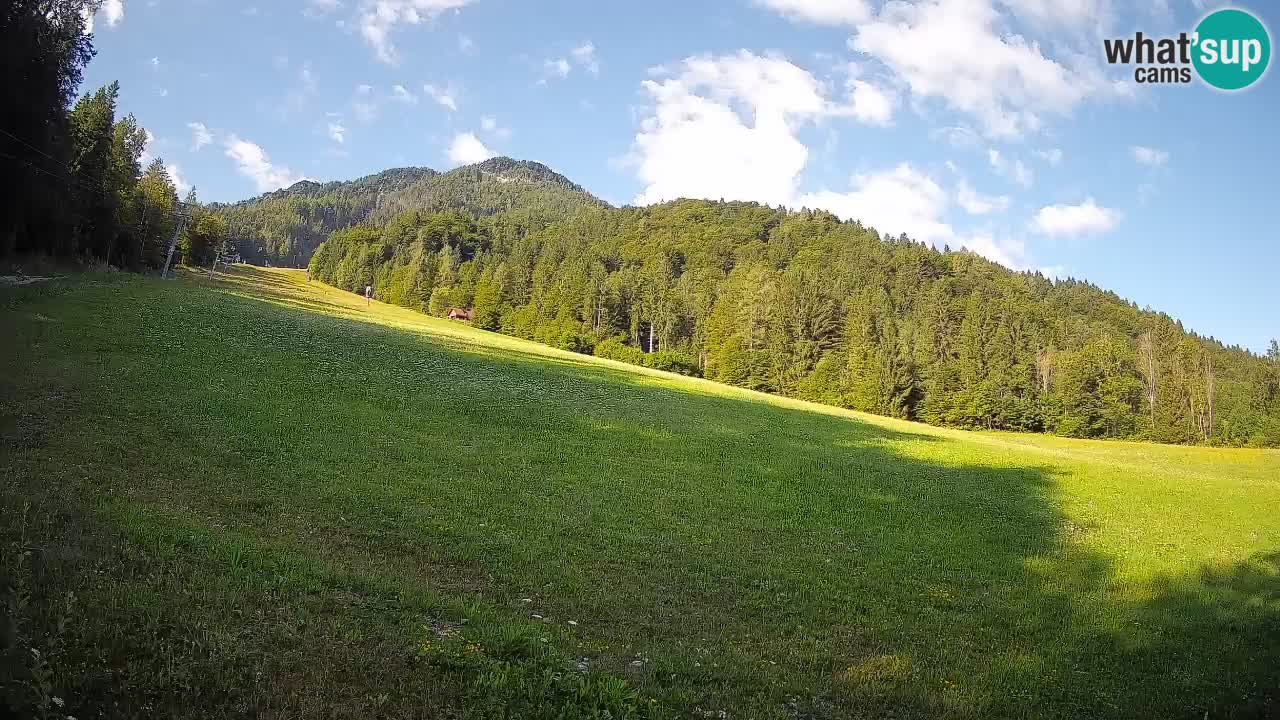 RTC Kranjska Gora | Brsnina