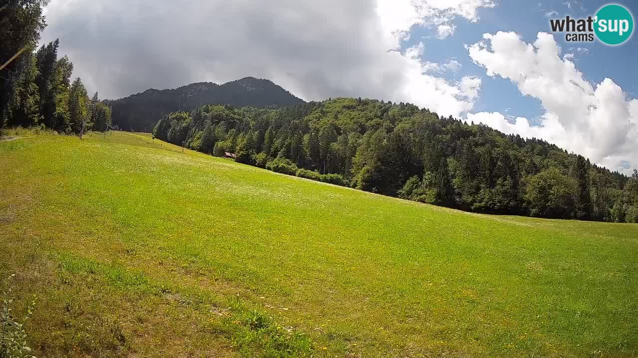 RTC Kranjska Gora | Brsnina