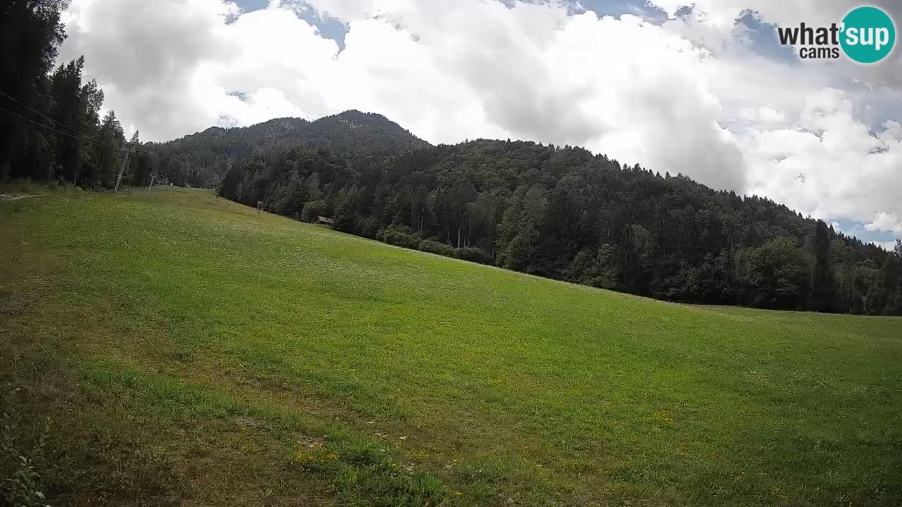 RTC Kranjska Gora | Brsnina