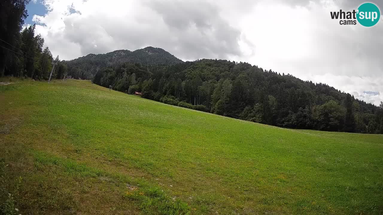 RTC Skigebiet Kranjska Gora | Brsnina