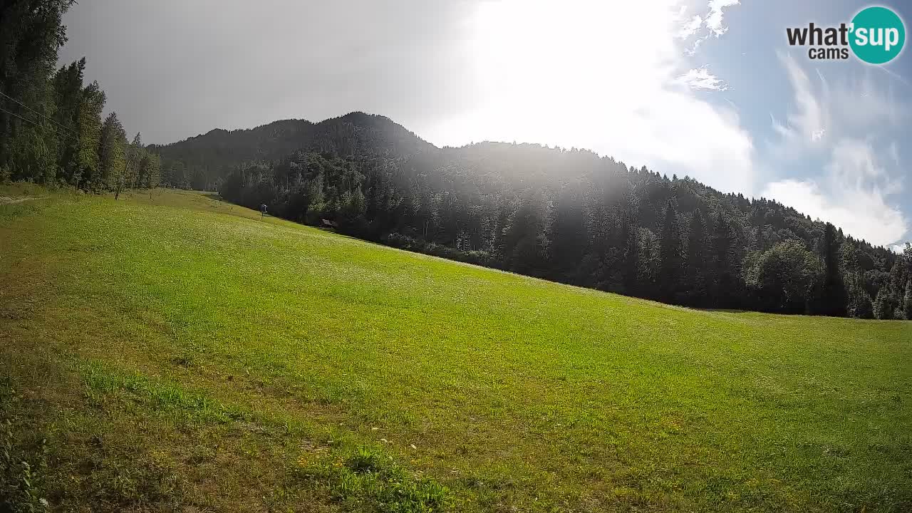 Comprensorio sciistico Kranjska Gora | Brsnina