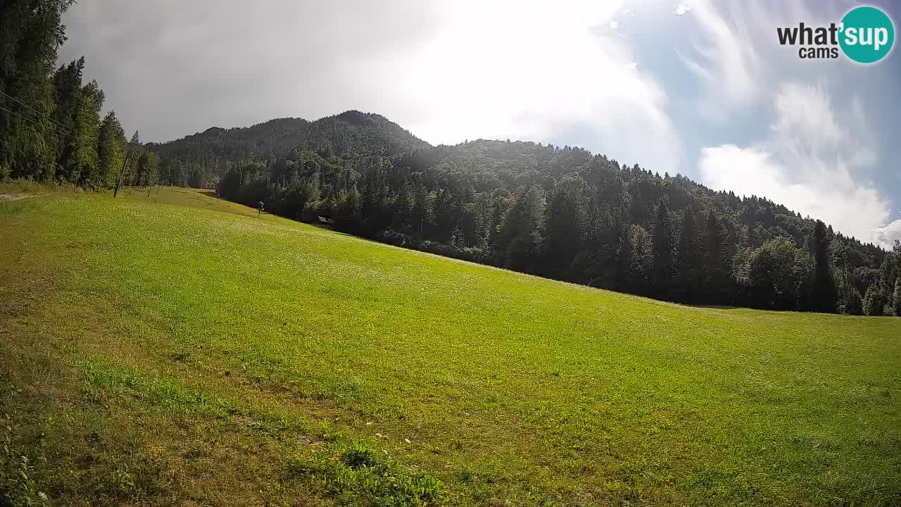 RTC Skigebiet Kranjska Gora | Brsnina