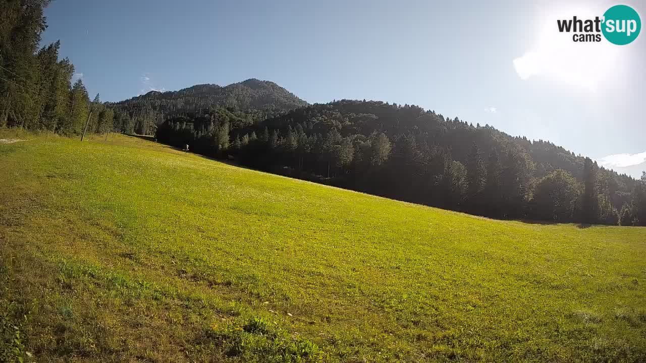 Ski Kranjska Gora | Brsnina
