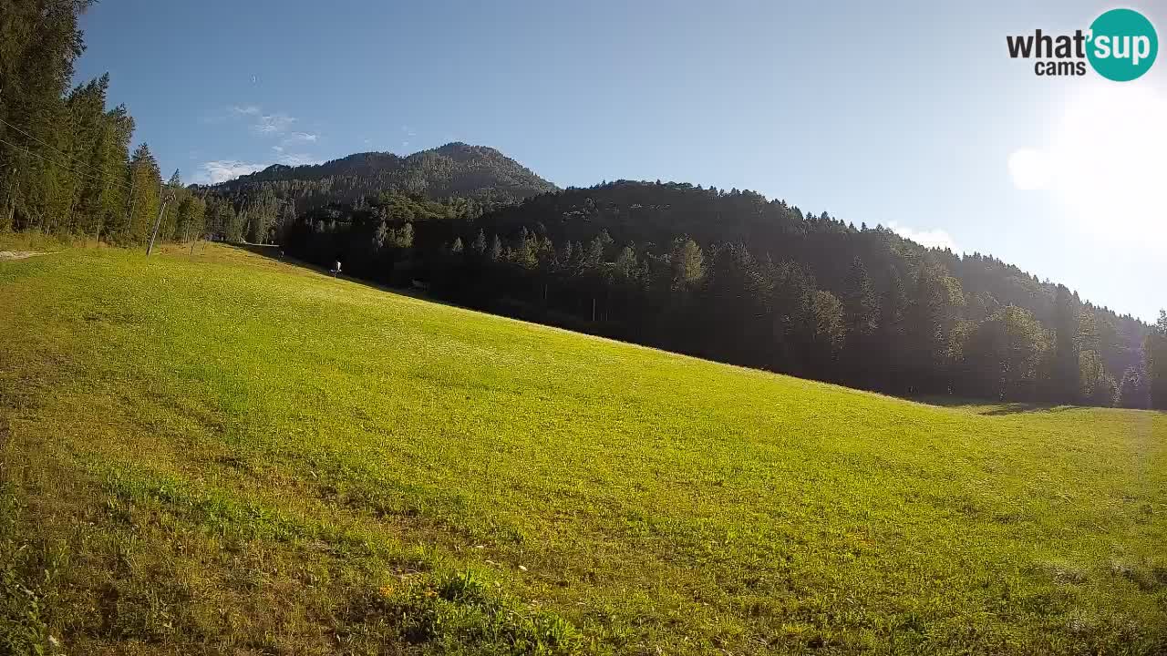 Ski Kranjska Gora | Brsnina