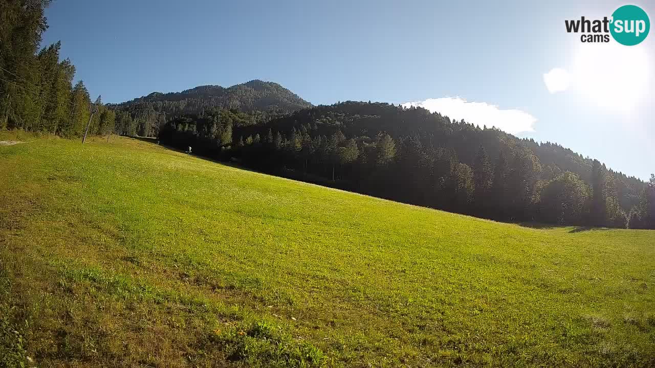 Ski Kranjska Gora | Brsnina