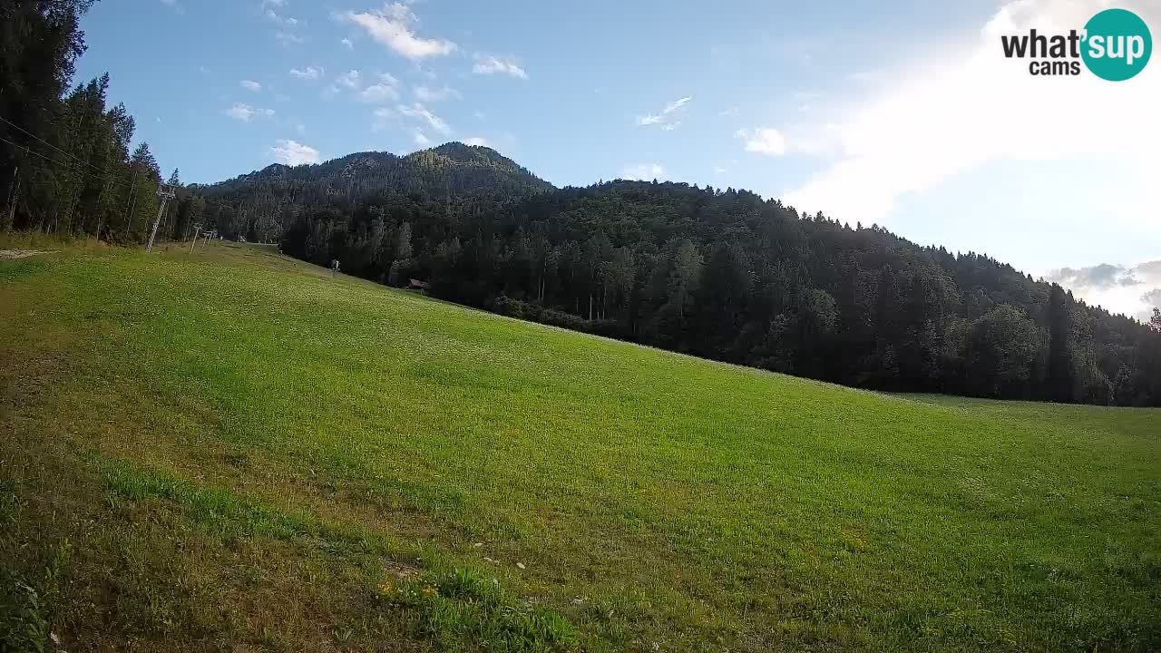 Ski Kranjska Gora | Brsnina