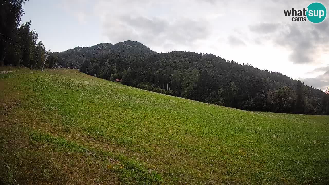 Comprensorio sciistico Kranjska Gora | Brsnina