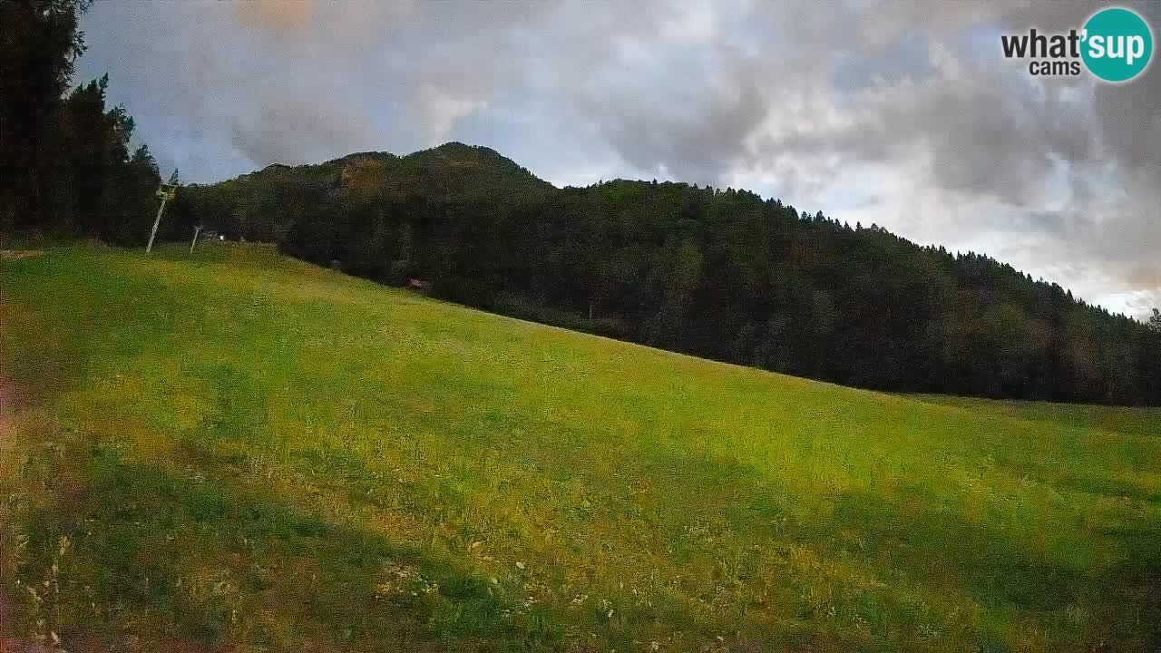 RTC Skigebiet Kranjska Gora | Brsnina