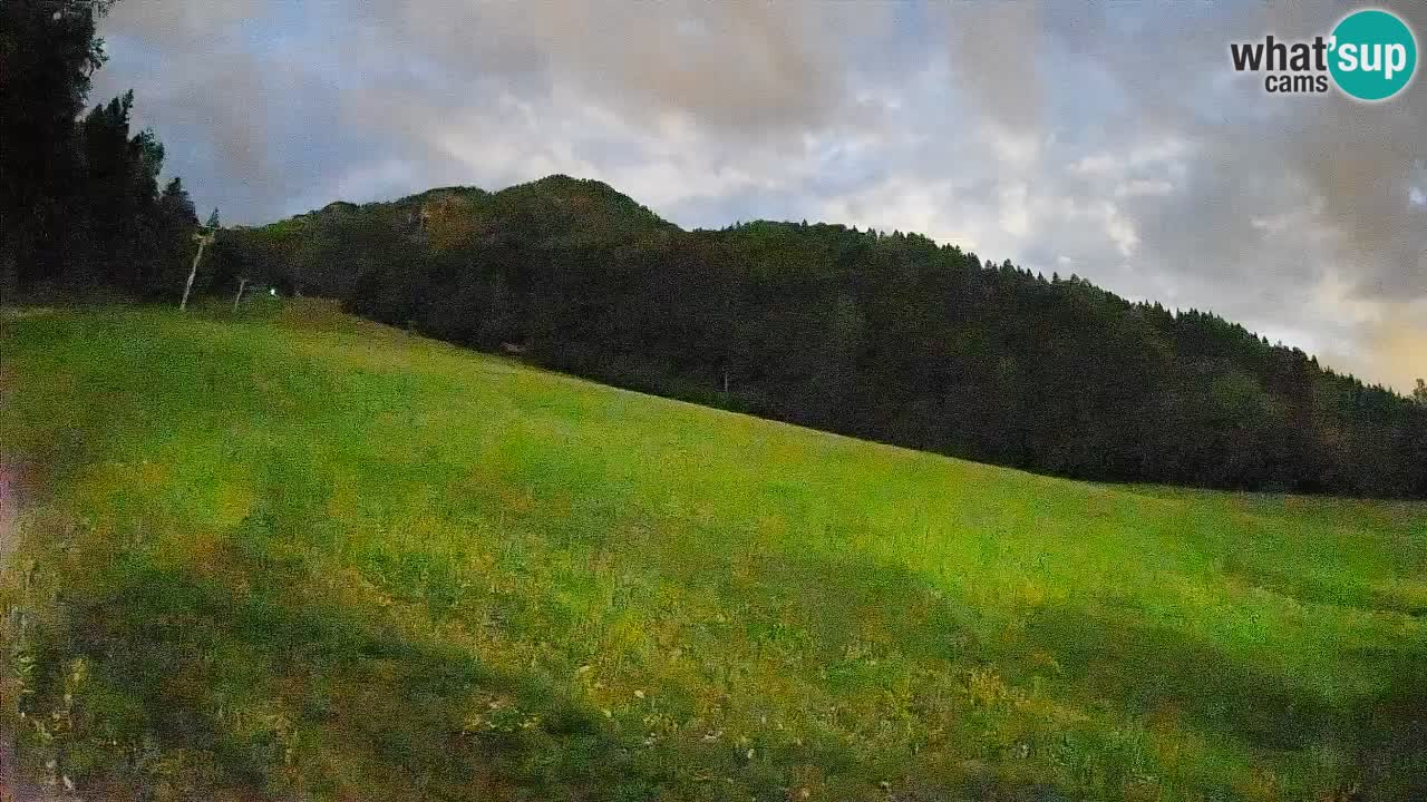 RTC Skigebiet Kranjska Gora | Brsnina