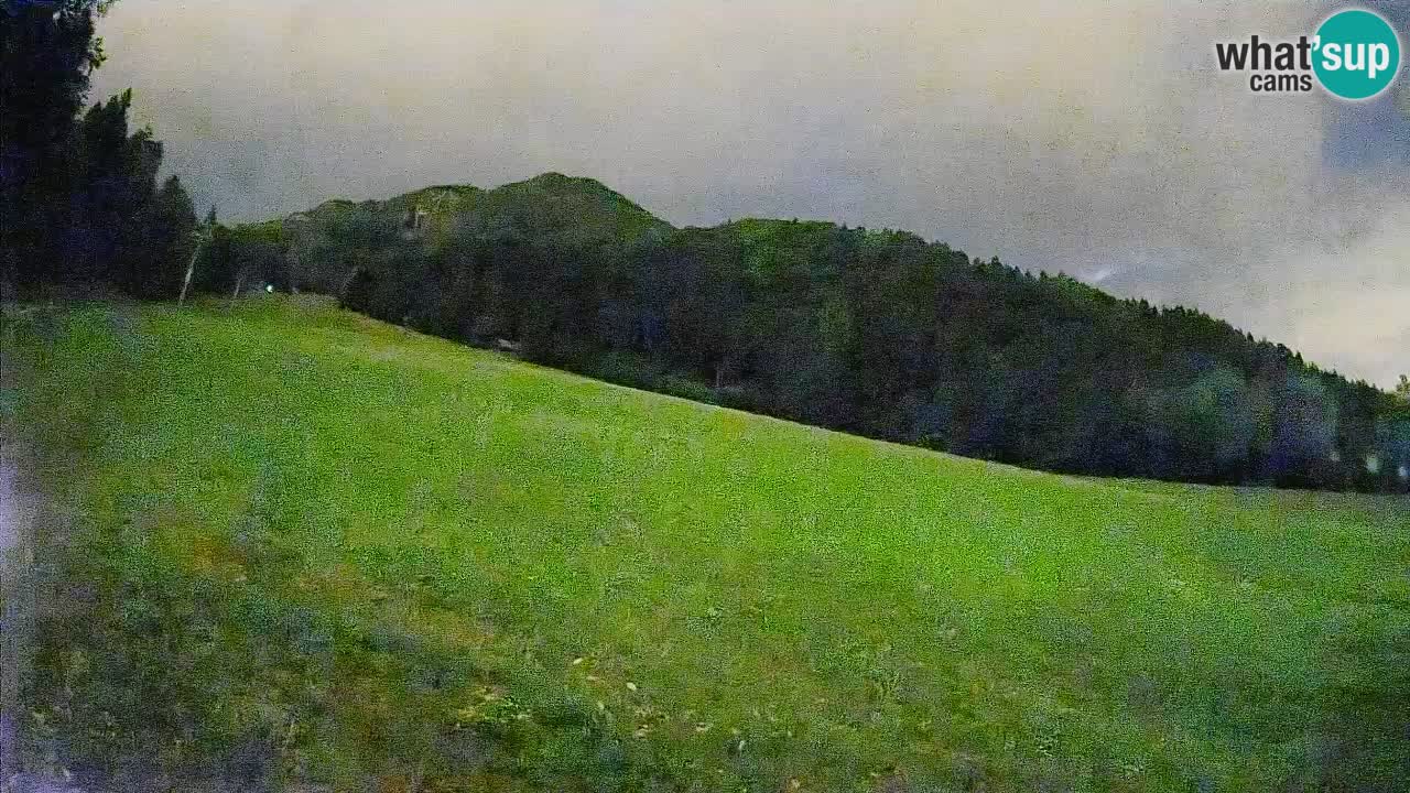 Esquí Kranjska Gora | Brsnina