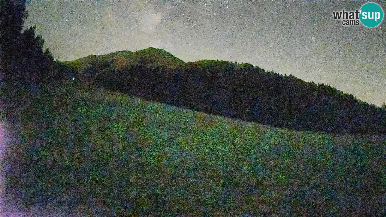 Ski Kranjska Gora | Brsnina