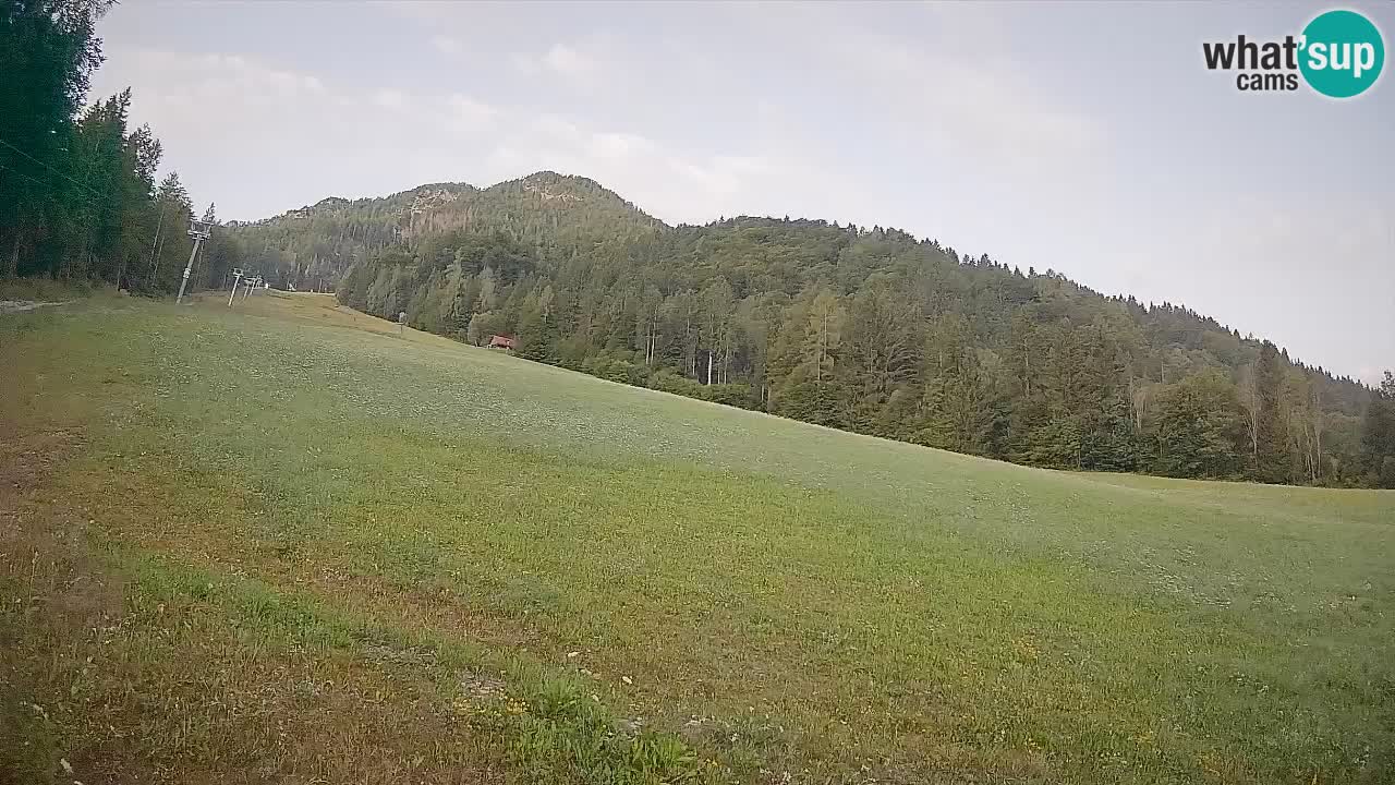 Esquí Kranjska Gora | Brsnina