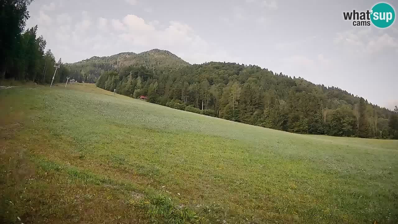 Kranjska Gora Station de ski | Brsnina