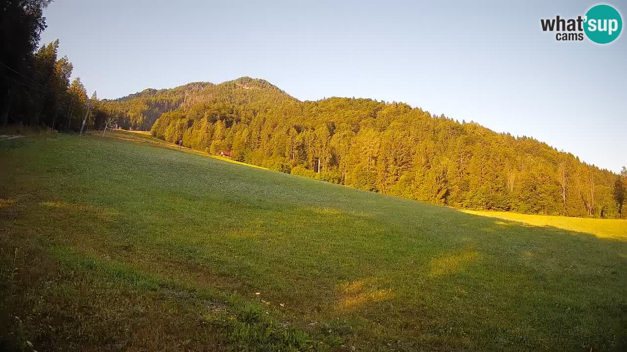 Ski Kranjska Gora | Brsnina