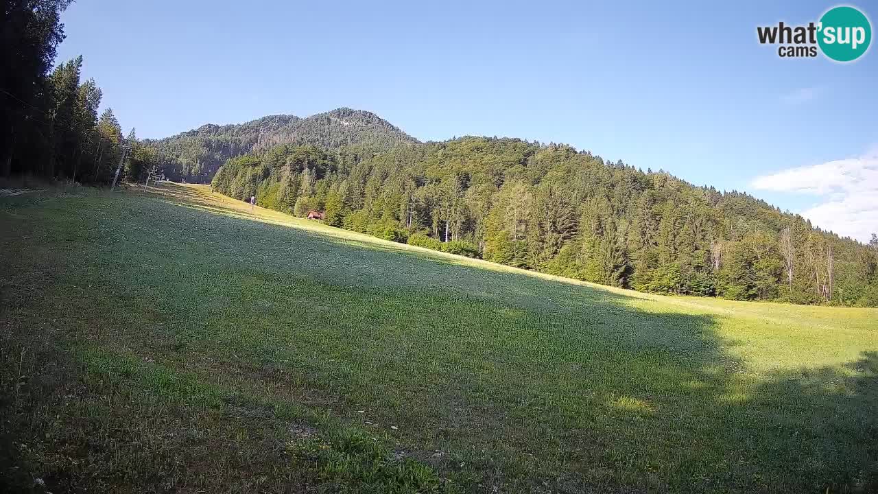 RTC Skigebiet Kranjska Gora | Brsnina