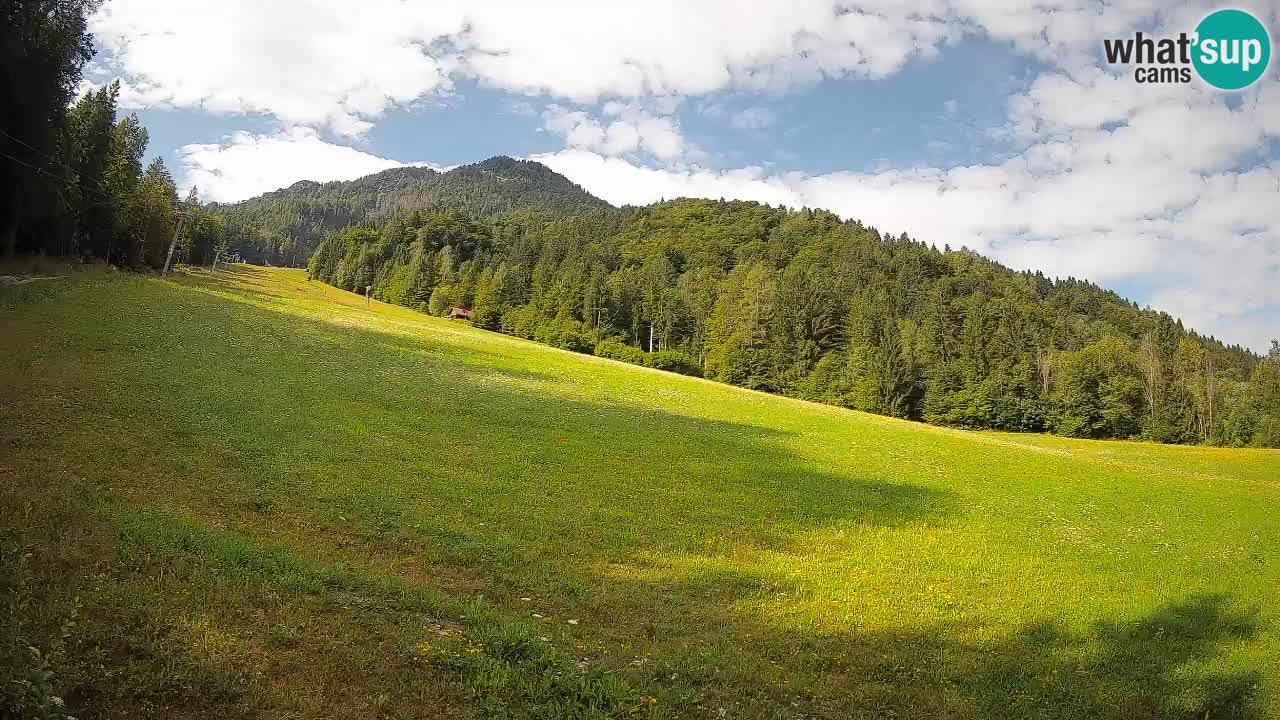 RTC Kranjska Gora | Brsnina
