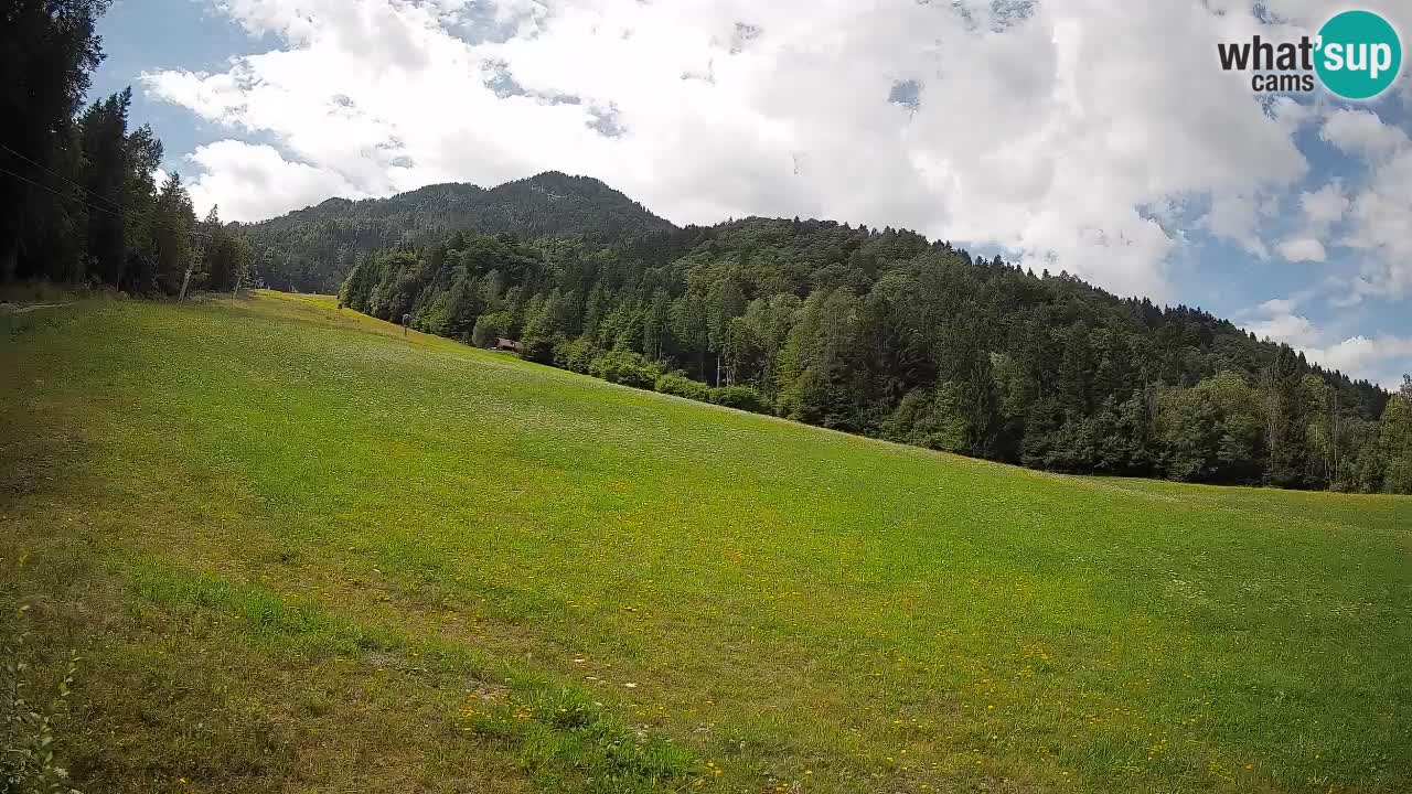 RTC Skigebiet Kranjska Gora | Brsnina
