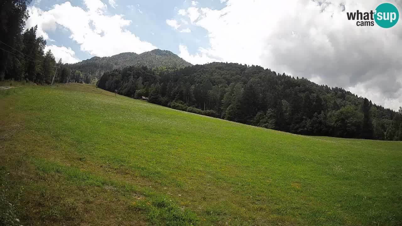 RTC Kranjska Gora | Brsnina