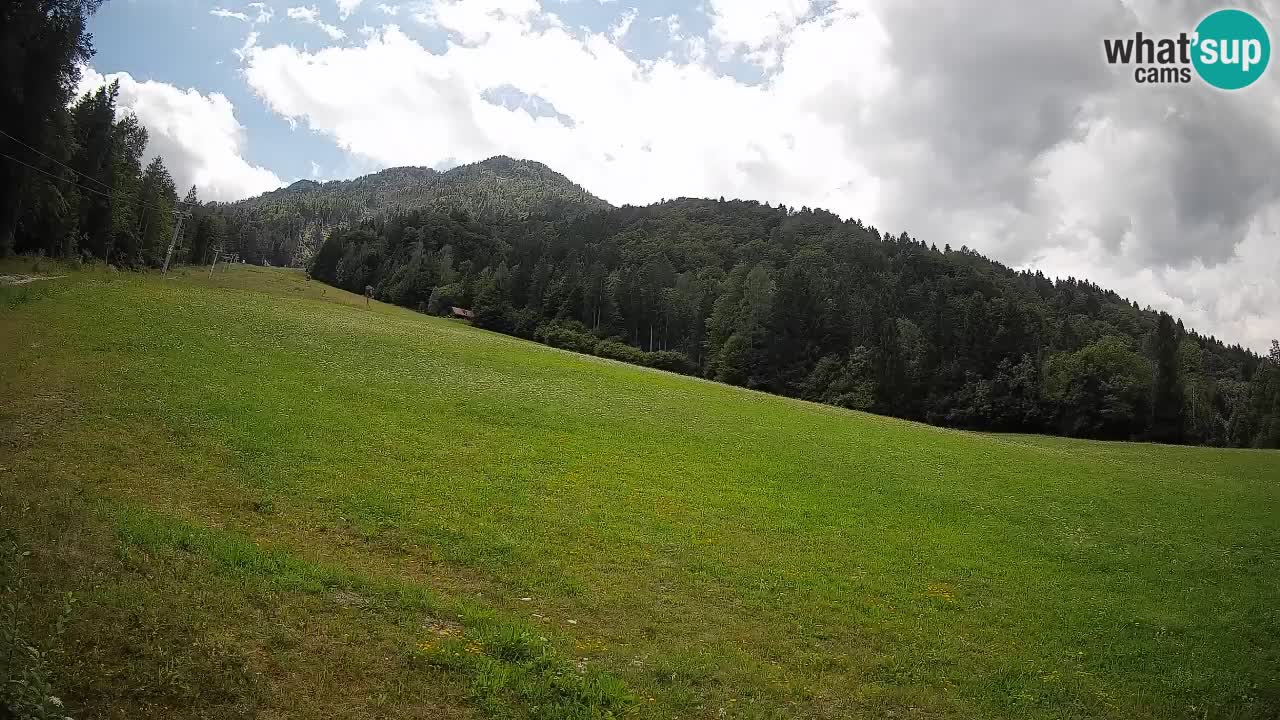 RTC Kranjska Gora | Brsnina