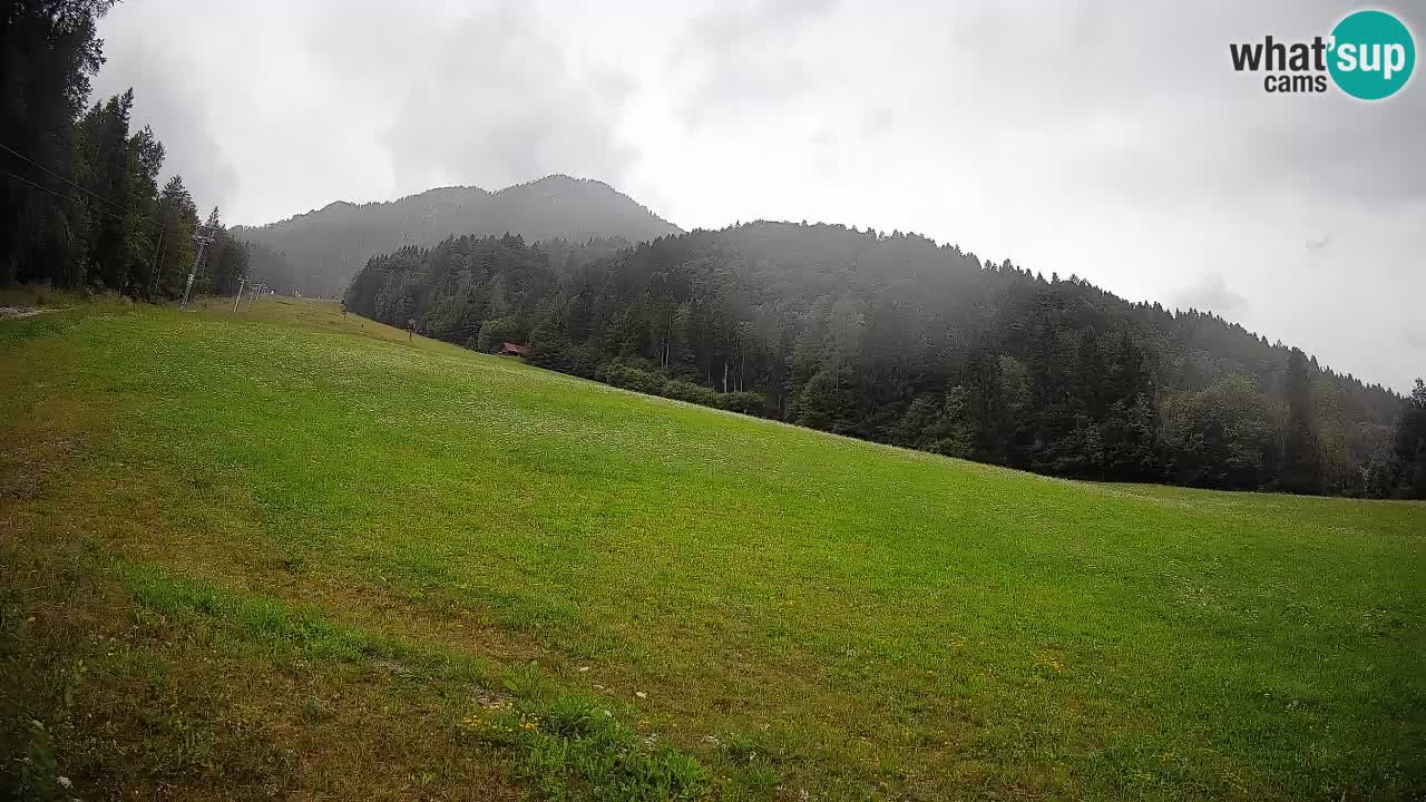 Kranjska Gora Station de ski | Brsnina