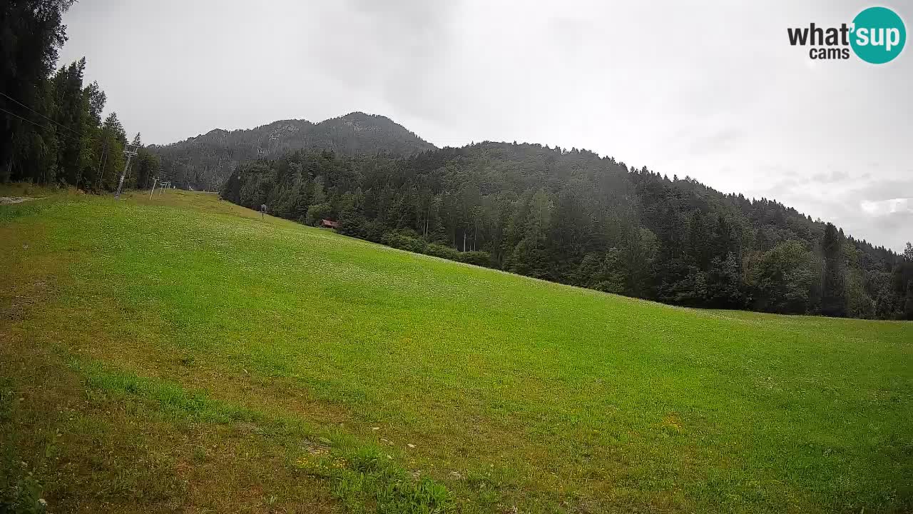 Kranjska Gora Station de ski | Brsnina