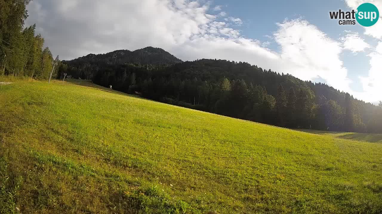 RTC Skigebiet Kranjska Gora | Brsnina