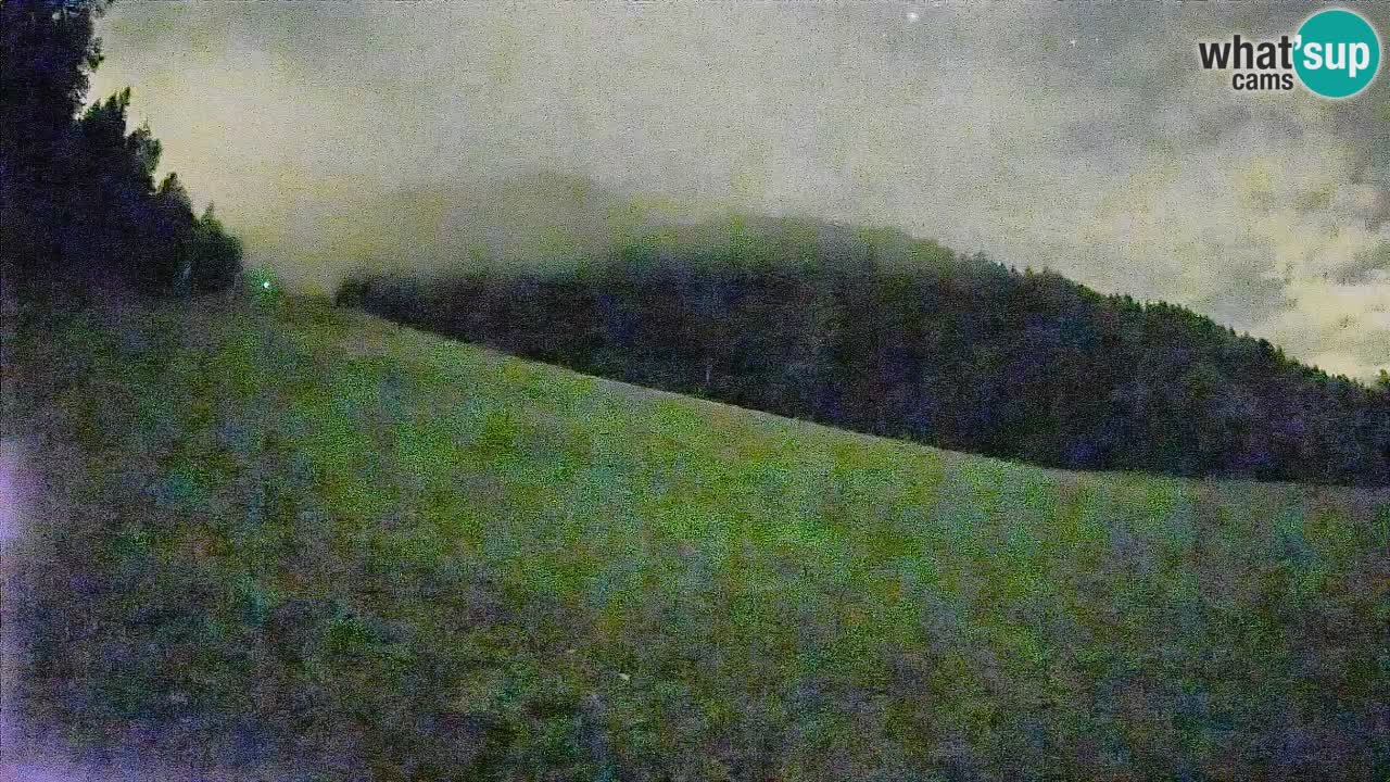 Comprensorio sciistico Kranjska Gora | Brsnina