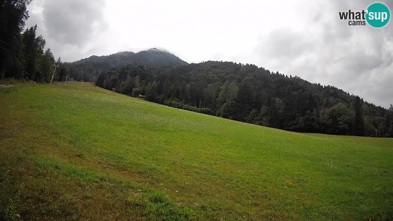 RTC Kranjska Gora | Brsnina