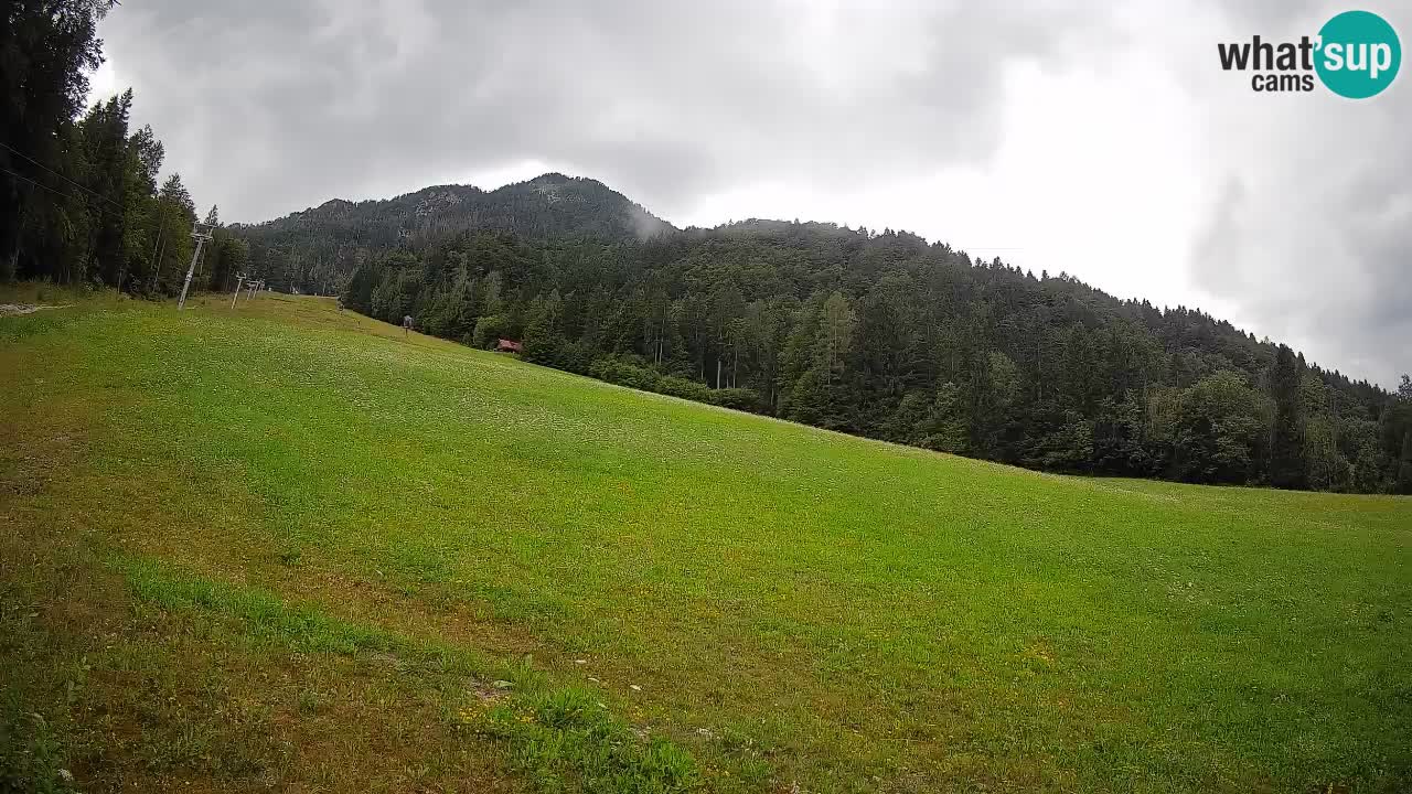 RTC Skigebiet Kranjska Gora | Brsnina