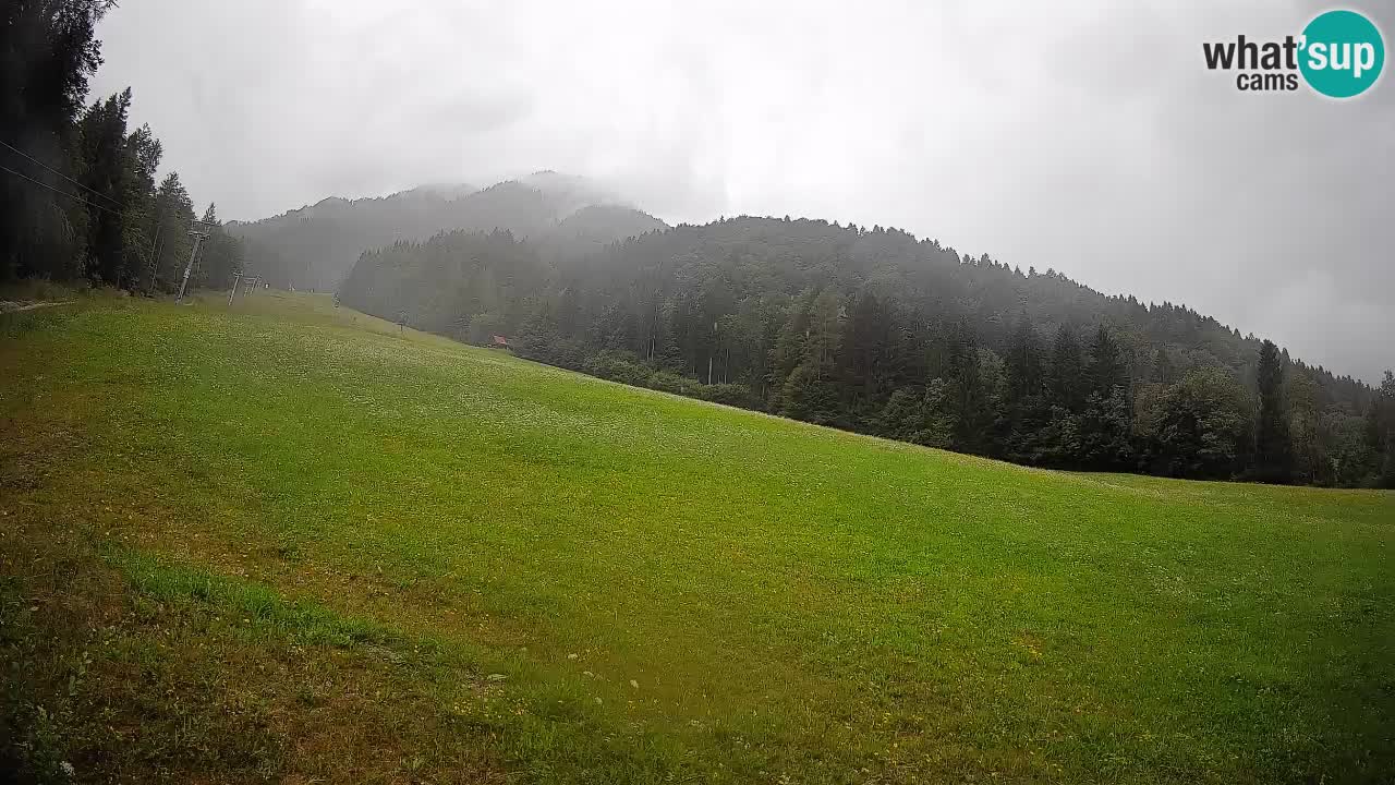 RTC Skigebiet Kranjska Gora | Brsnina
