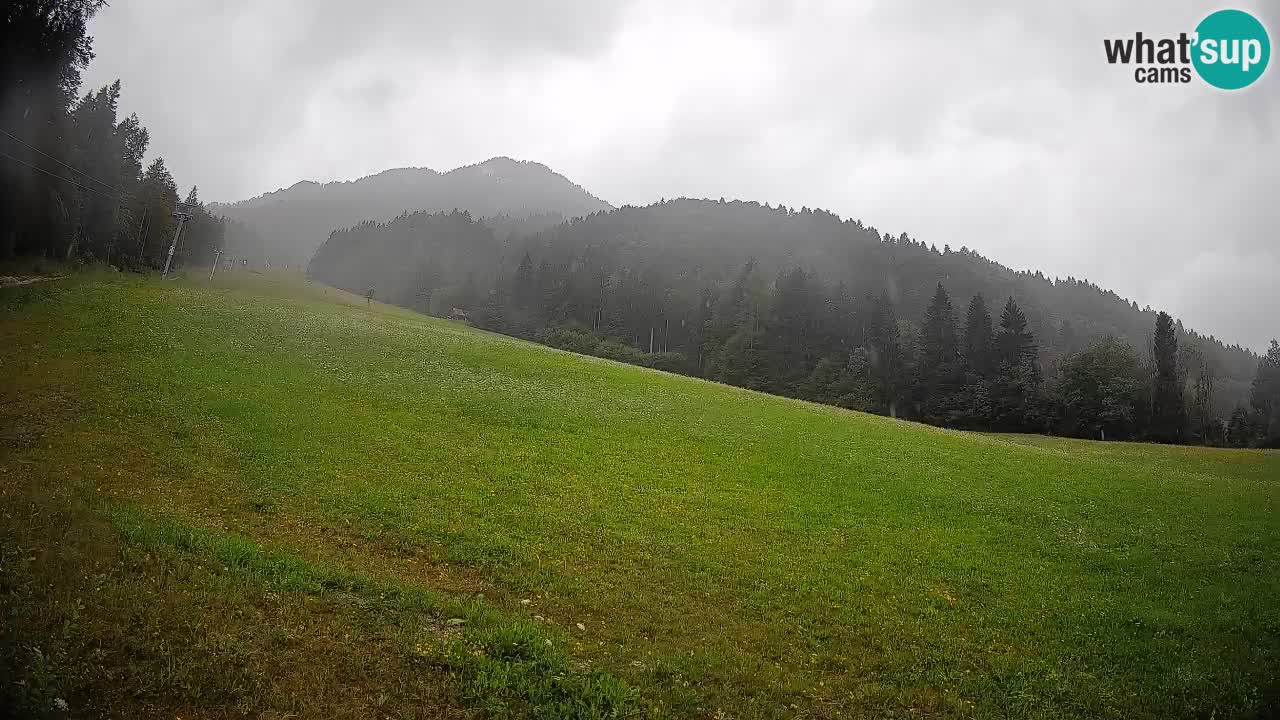 RTC Skigebiet Kranjska Gora | Brsnina