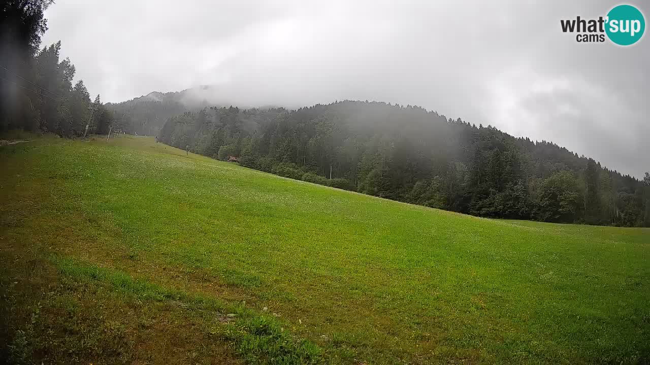 RTC Skigebiet Kranjska Gora | Brsnina