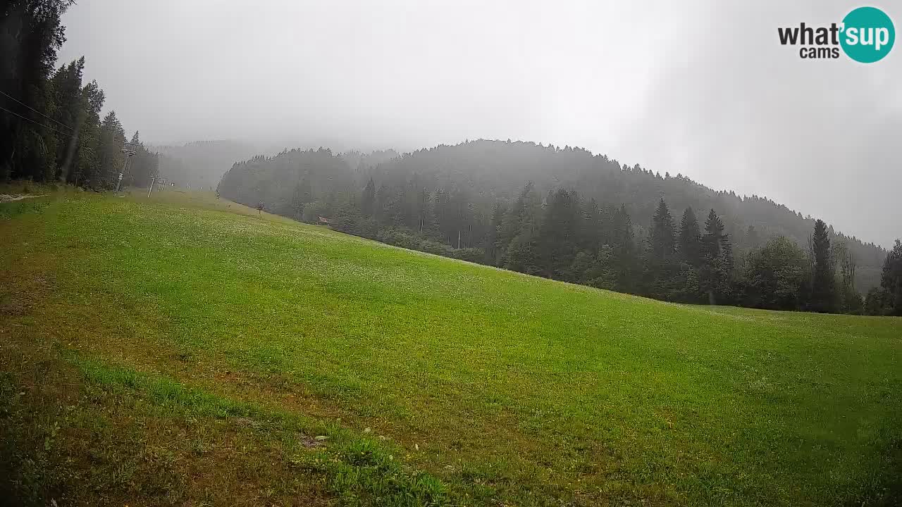 RTC Skigebiet Kranjska Gora | Brsnina