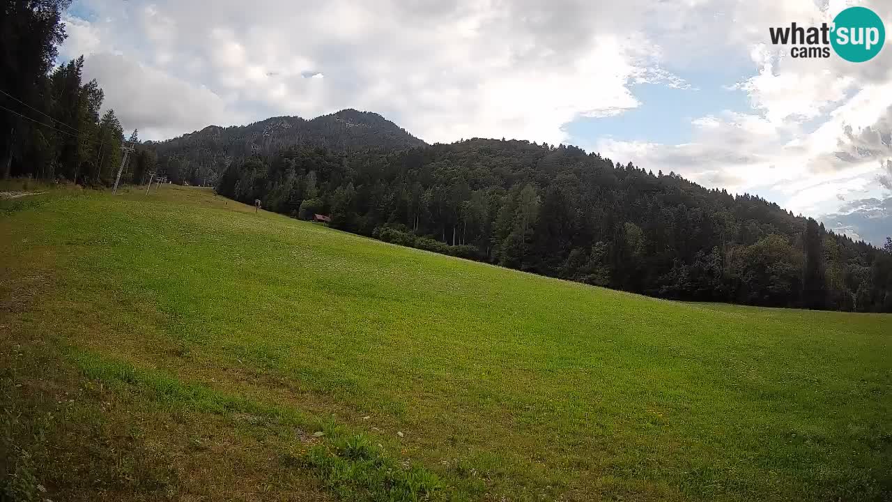 Ski Kranjska Gora | Brsnina