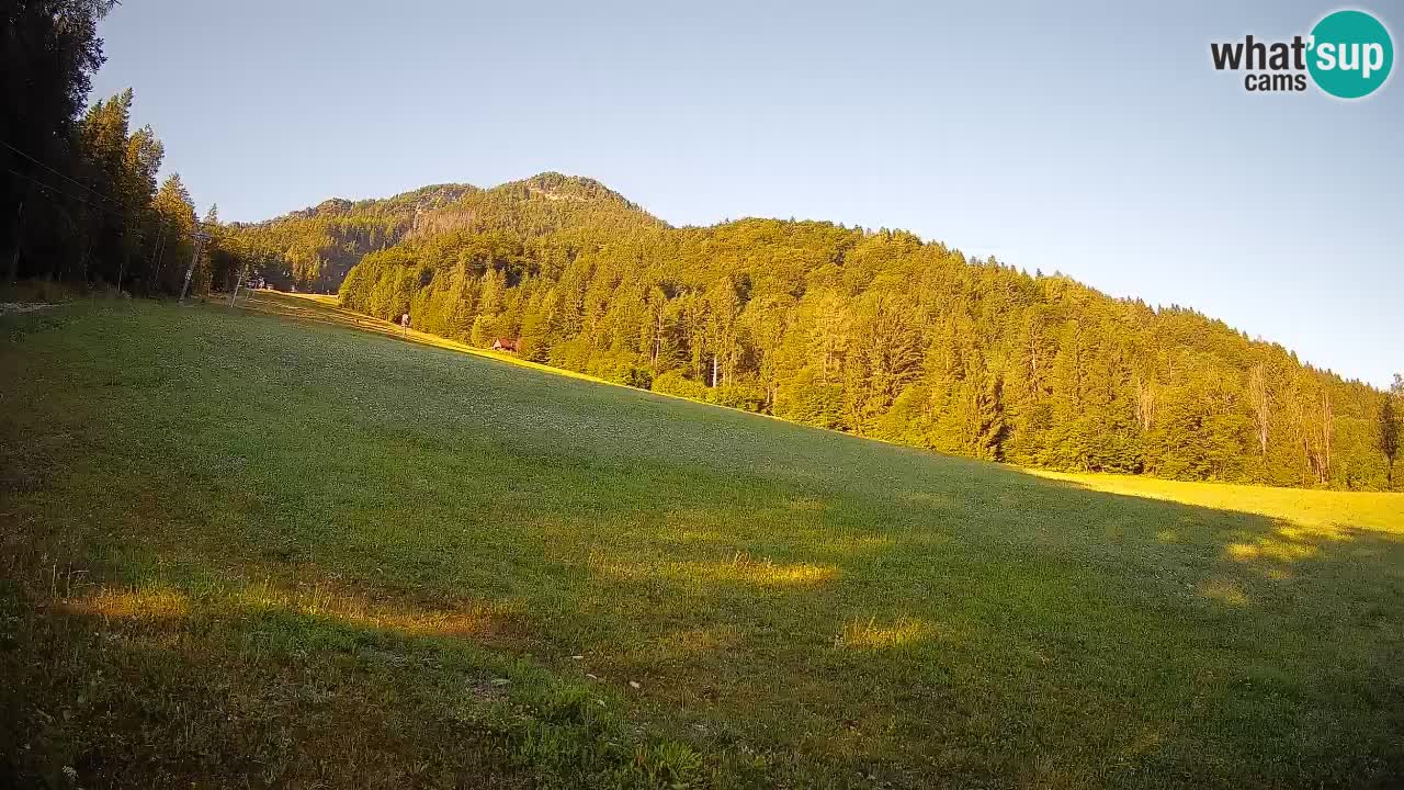 Ski Kranjska Gora | Brsnina