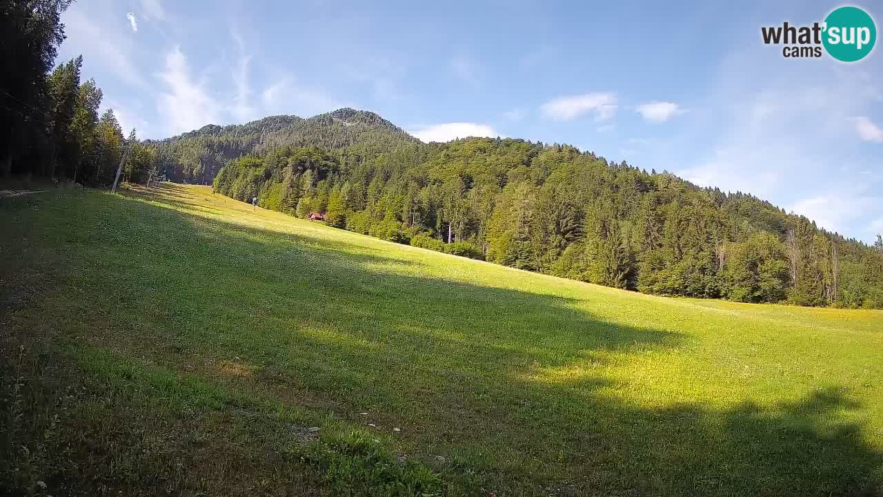 Ski Kranjska Gora | Brsnina