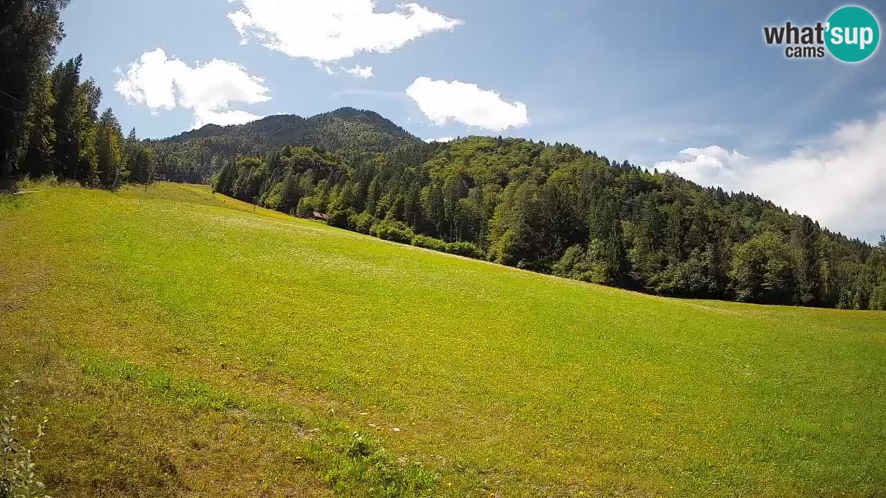 Kranjska Gora Station de ski | Brsnina