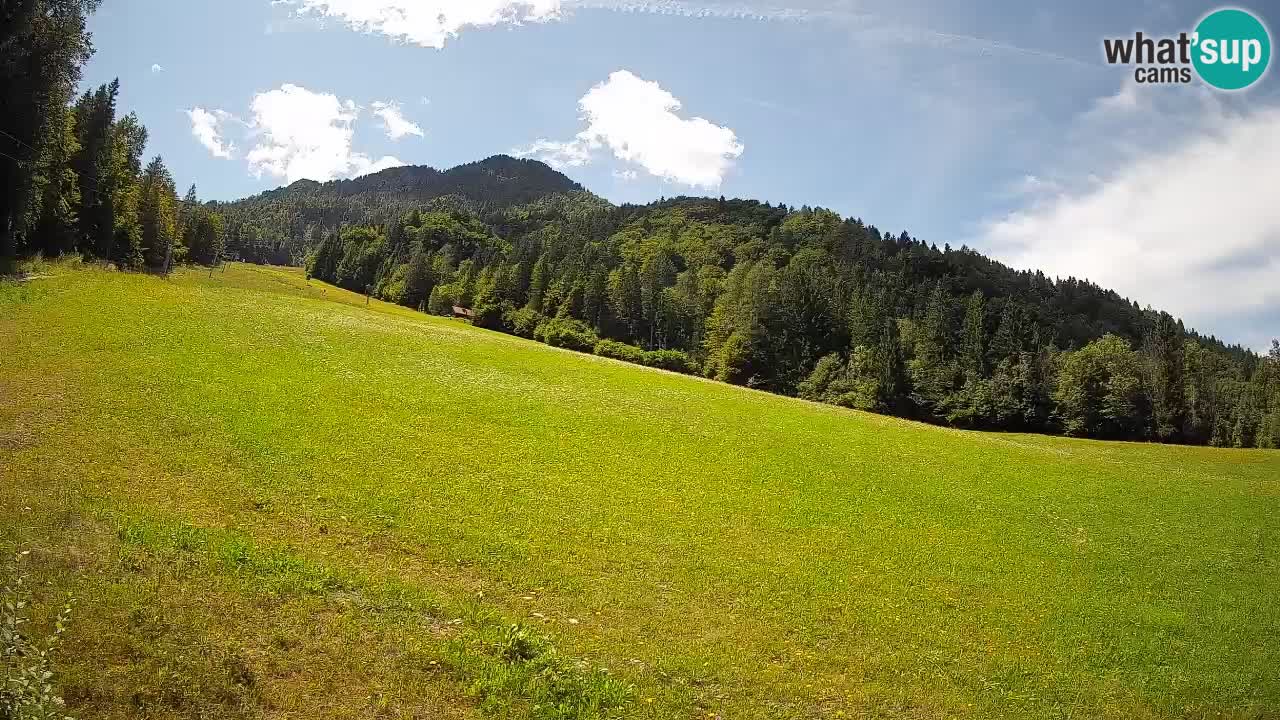 Comprensorio sciistico Kranjska Gora | Brsnina