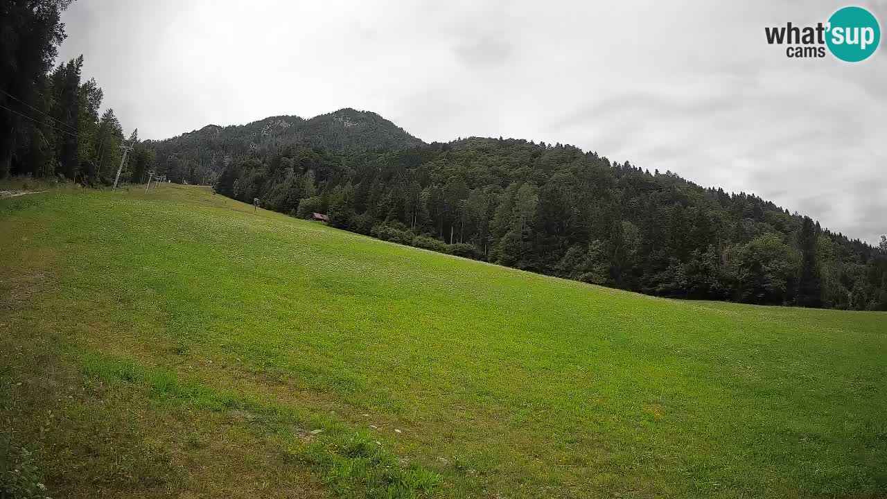 RTC Skigebiet Kranjska Gora | Brsnina