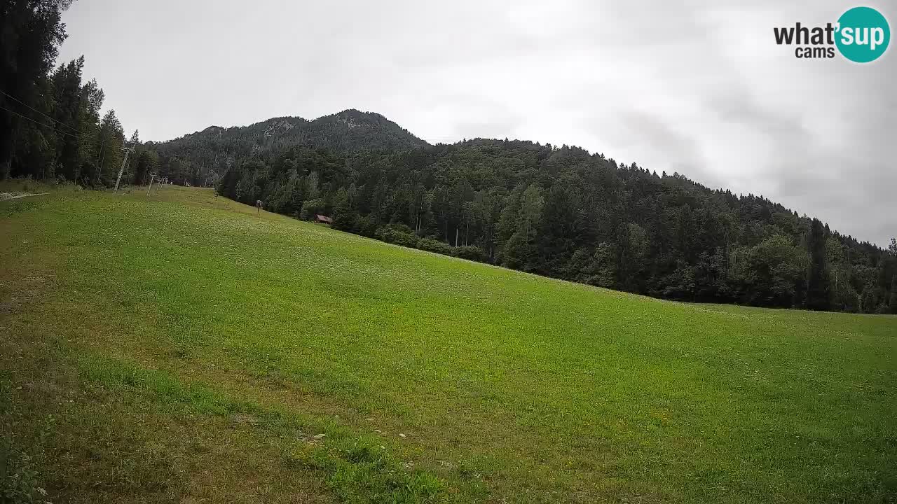 Comprensorio sciistico Kranjska Gora | Brsnina